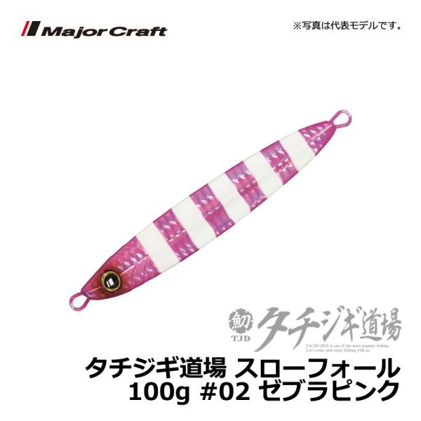 W[Ntg@^`WM X[tH[ 100g [usN / WMO ^`EI WO