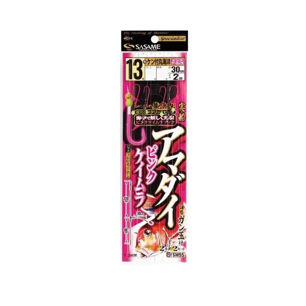 TT@FSM95 D A}_C 13-4(sNPC)