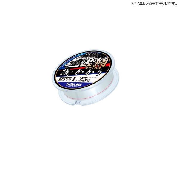 �T�����C���@����ISM ���E������ 120m�P 0.8�� �i�`�������N���A / �C�ނ� ���C�� �t����
