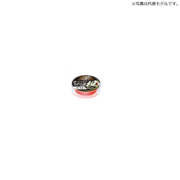 TC@CASTEST e[p[玅  15m×5{ 2&lt;8 bh / Cނ ނp C iC