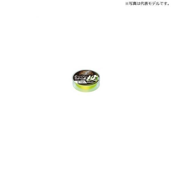 TC@CASTEST e[p[玅  15m×5{ 3&lt;12 CG[ / Cނ ނp C iC