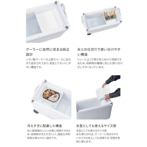 yfto_4969363162939_1_d_20260303182302