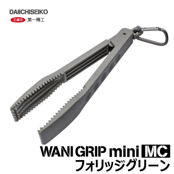 ꐸH@jObv~jMC@tHbWO[