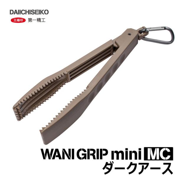 ꐸH@jObv~jMC@_[NA[X