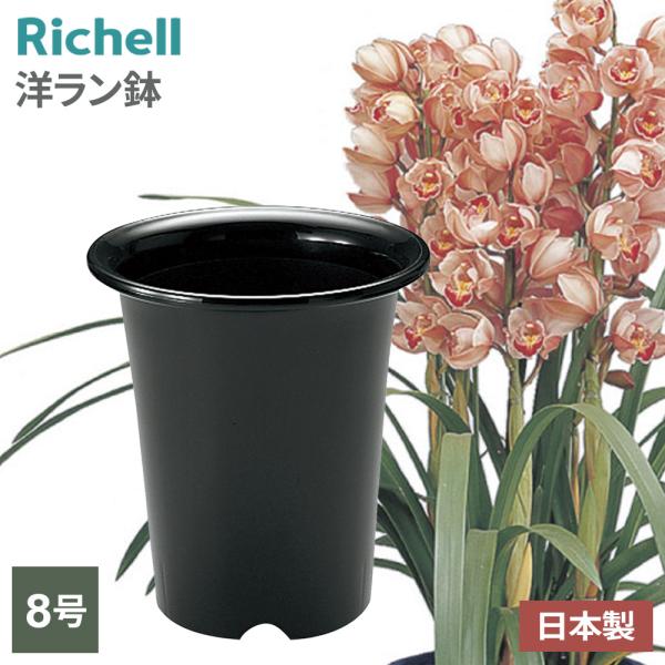 リッチェル（Richell） 洋ラン鉢 8号 ブラック 072883 ｜ 植木鉢