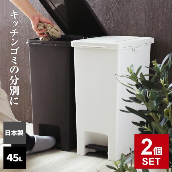 アスベル（ASVEL） ゴミ箱 エバンペダル45 SD 45L 2個セット 選べる