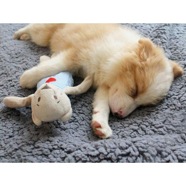 ペット用 ブランケット 毛布 犬猫 マット タオル ソフト タオルケット ふわふわ 秋冬 防寒 保温 暖かい オールシーズン 洗える 無地 犬 Buyee Servis Zakupok Tretim Licom Buyee Pokupajte Iz Yaponii