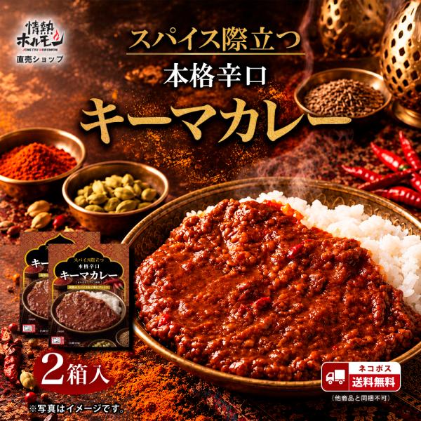カレー レトルト 本格辛口 キーマカレー 150g×2箱 スパイスカレー レンジ調理 レンチン 送料無料 情熱ホルモン メール便 他の商品と同梱不可です 爆買