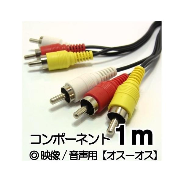 AVP[u rfIP[u Ԕ sR[h RCA vO 1.0m