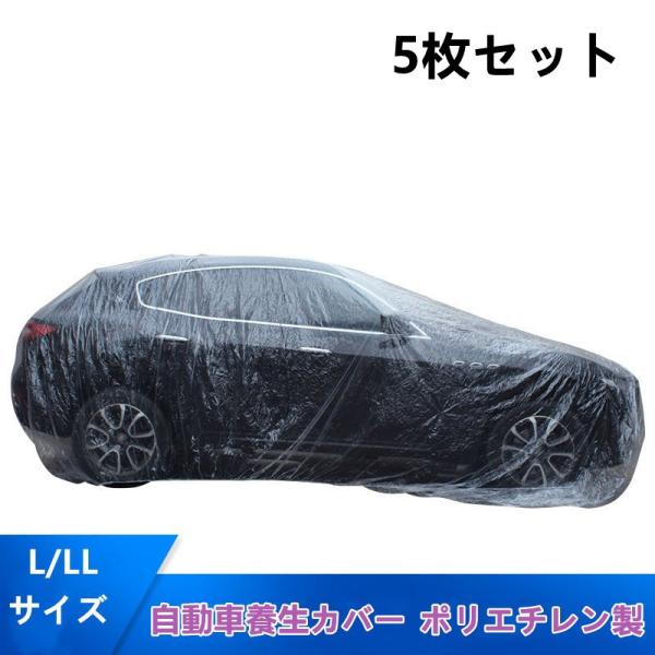 @ԗ{Jo[@|G`@LTCY@LLTCY@5Zbg