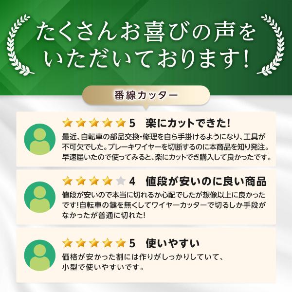 yjs1484_cy00270_2_d_20250111180109