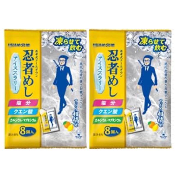 【2袋セット】 UHA味覚糖 忍者めし アイススラリー すっきり柑橘系味 1袋(22g×8個入） SNSで話題 ASMR