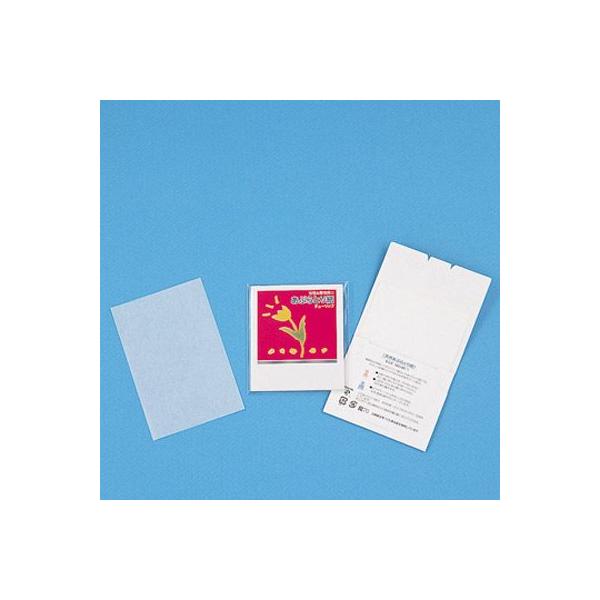 ԂƂ莆@`[bvN@20ij 700 P[X̔ ܂Ƃߔ ̑ mxeB ΂܂ Xܔi ei LOi v`Mtg