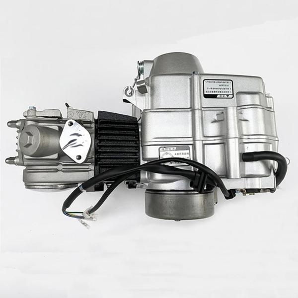 並行輸入品】 バイクエンジンコンプリートホンダ嘉陵力帆ダヤンロン