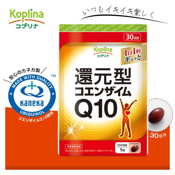 Ҍ^RGUCQ10 30 130  (LCƌC/JlJ̊Ҍ^RGUC/_CNgɓ/N/Tv)