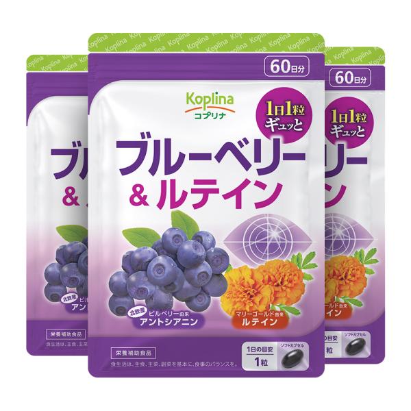 ブルーベリー＆ルテイン 60粒 3袋セット180日分  (高濃度/北欧産ビルベリー/アントシアニン/ルテイン/健康/サプリ/栄養/国内製造)