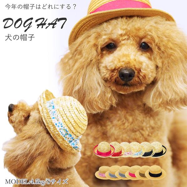 麦わら帽子 犬用ペット服の人気商品 通販 価格比較 価格 Com