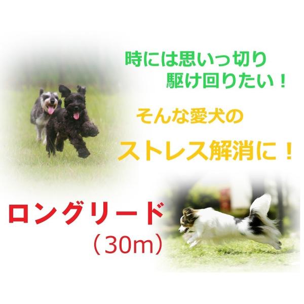 ロングリード 犬 ペット 大型犬 中型犬 小型犬 30m Buyee Buyee Japanese Proxy Service Buy From Japan Bot Online