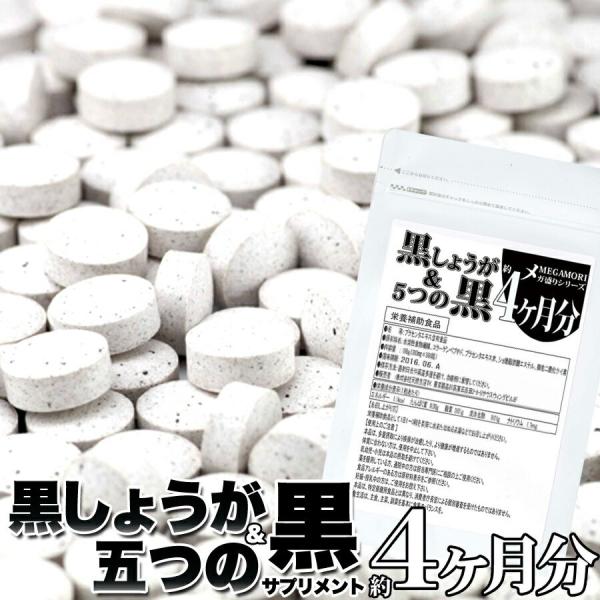 黒しょうが＆5つの黒 サプリ メント 約4ヵ月分240粒メガ盛り  約4ヶ月分 メール便 送料無料 爆買 bakugai202508
