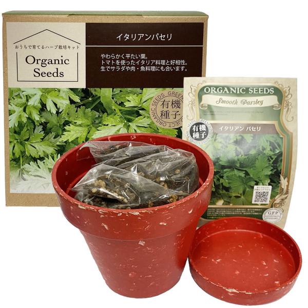 パセリ 苗の人気商品 通販 価格比較 価格 Com