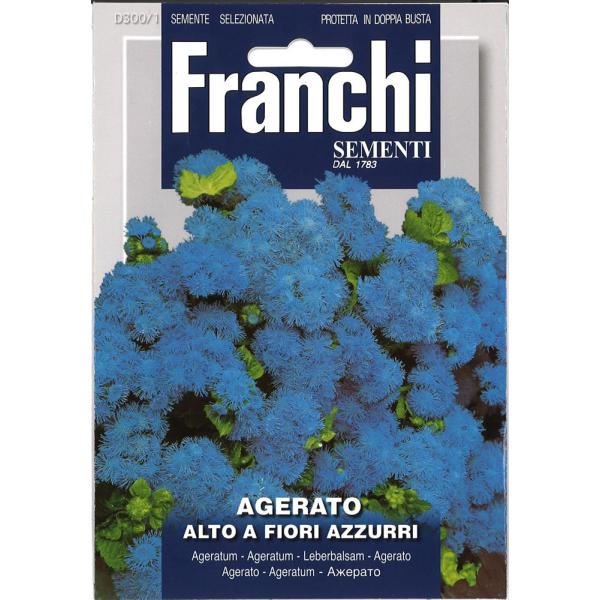 花 キク 種の人気商品 通販 価格比較 価格 Com