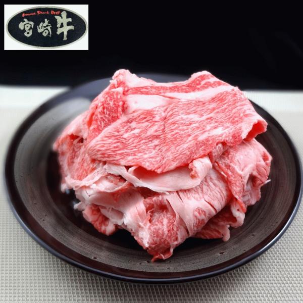 宮崎牛 切り落とし4部位1kg