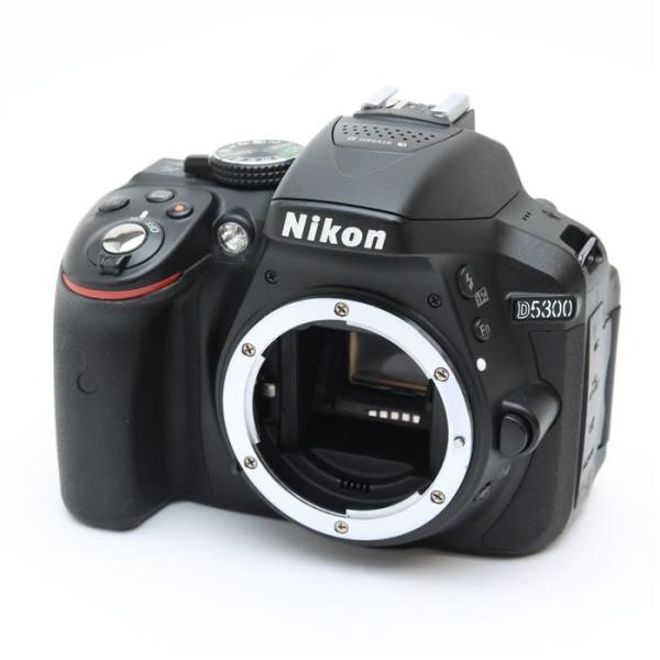 《難有品》Nikon D5300 ボディ