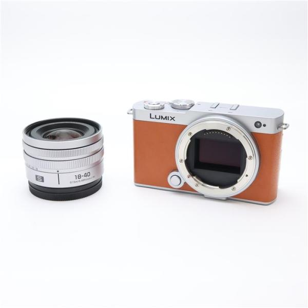 Panasonic（パナソニック） 《美品》Panasonic LUMIX S9 広角ズーム