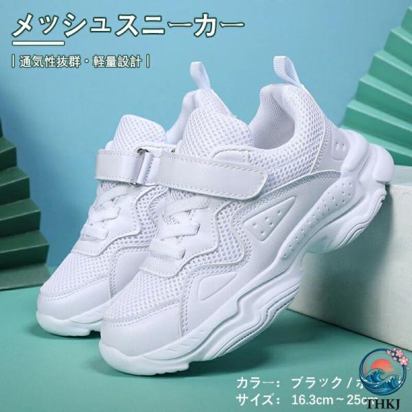 ダンスシューズ チアシューズ ダンスブーツ 幅広 ダンス靴 甲高 軽量 ホワイト 発表会 レディース 白スニーカー メッシュ キッズ 韓国 チア