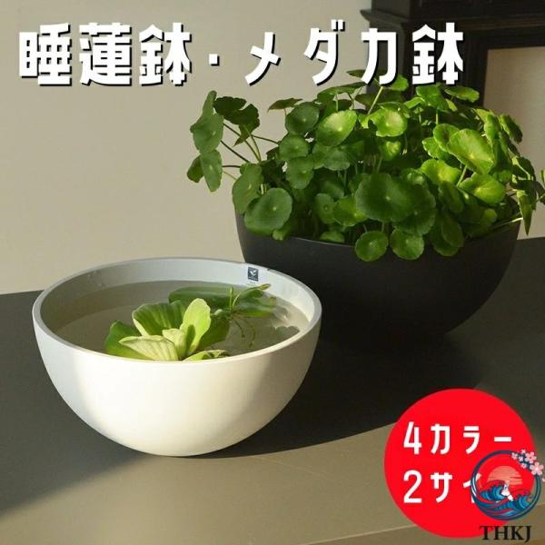 睡蓮鉢 メダカ 鉢 金魚鉢 スイレン鉢 軽量 植木鉢 大型 25 30cm プラスチック おしゃれ 丸鉢 飼育鉢 樹脂製 軽量 割れにくい 頑丈 屋外 水鉢 水生植物に