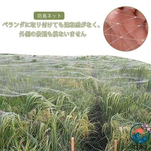 猫脱走防止 クリア 防鳥ネット 2×50m 7m×30m 10m×10m 鳥避け 鳩避け 菜園 防鳥網 田畑 野良猫侵入防止 庭 頑丈 耐久性 ベランダ ナイロン カラス避け 果樹園
