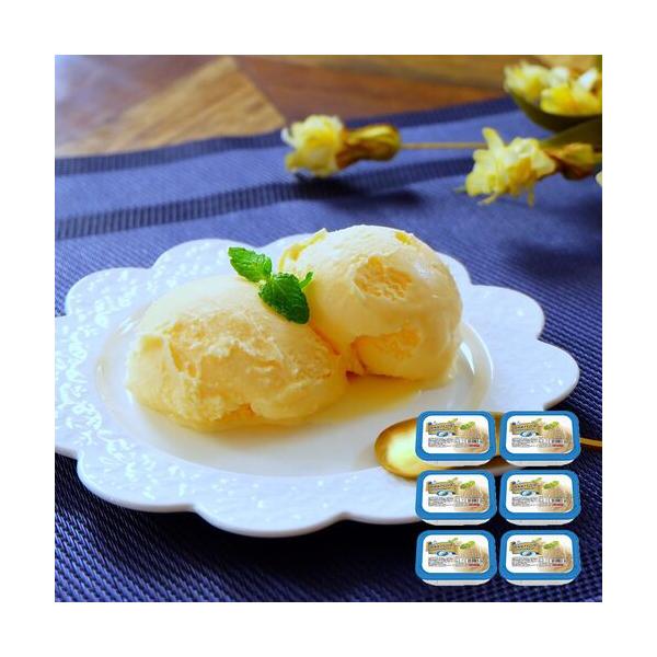 フタバ食品 【倉入れ】北海道バニラ  (2000ml×6個 /ケース)x1ロット 12000ml ギフト 贈物 産地直送