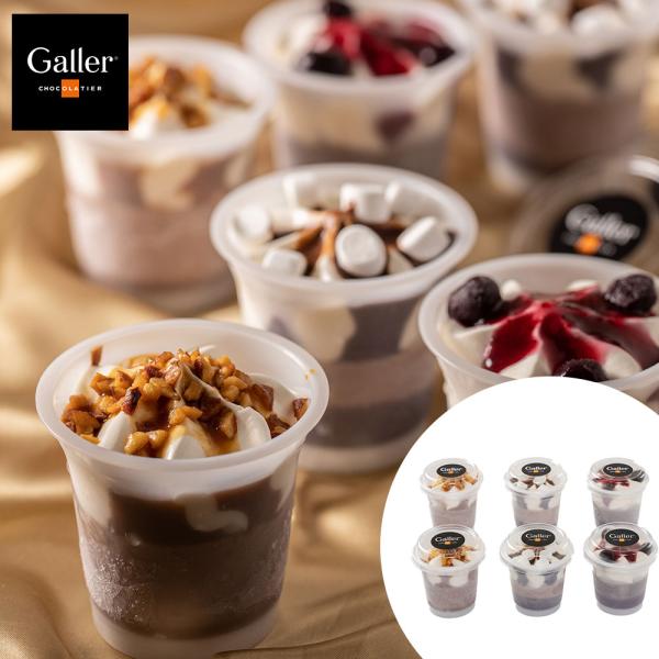ガレー チョコレートアイスパルフェ 110mlx6個/送料無料 お中元 ギフト スイーツ 産地直送