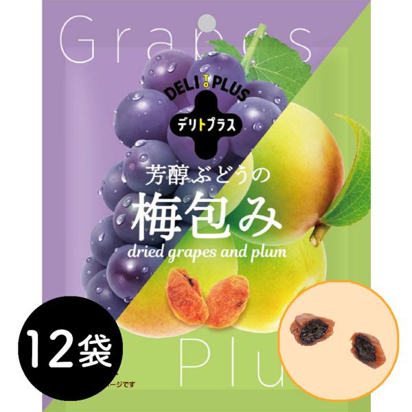 芳醇ぶどうの梅包み（12袋入） 常温 干し梅 おやつ 贈物 自分用 メーカー直送