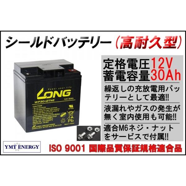 12v 30ah シールドバッテリー Wp30 12tne 高耐久タイプ 完全密封型鉛蓄電池 緊急電源用 ソーラー発電用 セニアカー 互換バッテリー ネジ端子付 Wp30 12tne Ymt Energy Yahoo ショップ 通販 Yahoo ショッピング