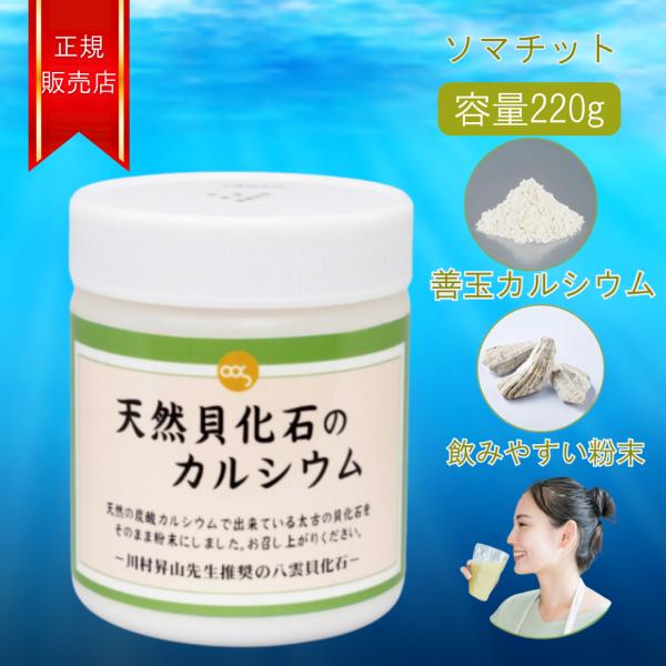 ソマチッド　粉タイプと石タイプの2袋 古代ソマチッド 石タイプ 粉タイプセット - メルカリ