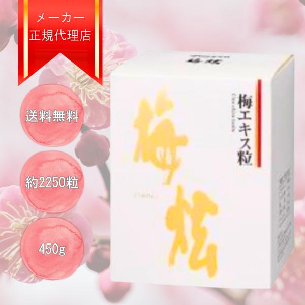 ウメケン 梅エキス 梅けん 粒 450g 約2250粒 健康食品 サプリメント 梅