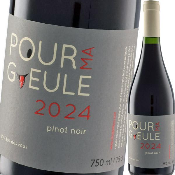 （赤ワイン）クロ・デ・フ・プール・マ・ギュール・ピノ・ノワール 2024 wine