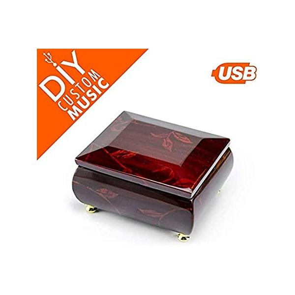 Usb Music Box For Girls With 15 Mp3 Songs 95 Mb Usb Module Drag N Drop M Divepoint Pl