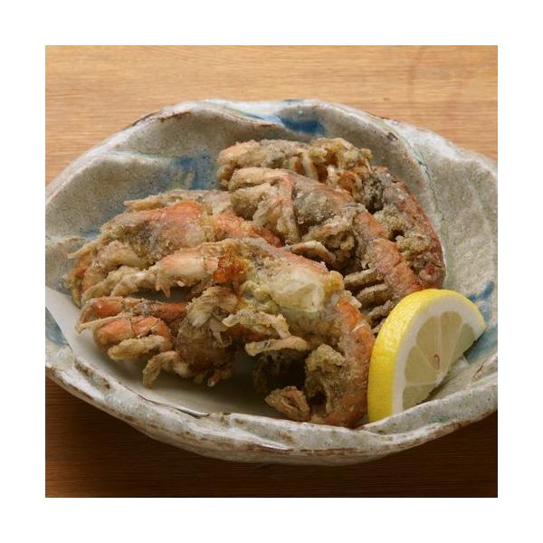 LCY@}WN(ʖ:AiWR)@10@g΃ppbƊkƔ!@Ⓚi Yi i