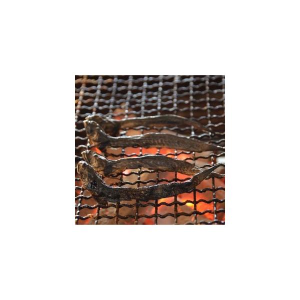 干しむつごろう 6尾入 有明海のマスコットを干し物に レターパック対象商品 Buyee Buyee 提供一站式最全面最專業現地yahoo Japan拍賣代bid代拍代購服務 Bot Online