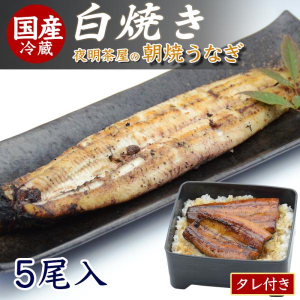 国産うなぎ白焼き　5尾(化粧箱・タレ入り・レシピ付き)　柳川から朝焼き直送　冷蔵便