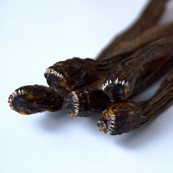 有明海のエイリアン!!これがバリウマ! 有明海にしかいないんです。干潟の中にもぐっていて目が見えませ〜ん。だけど、味はいいんです。素揚げでも、焼いて食べても初めての味!【内容量】 ５尾入り【食べ方】調理が必要です 【配送方法】常温【賞味期限...