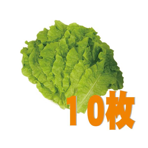 使う分だけ買いましょう！もう悩みはないでしょ！