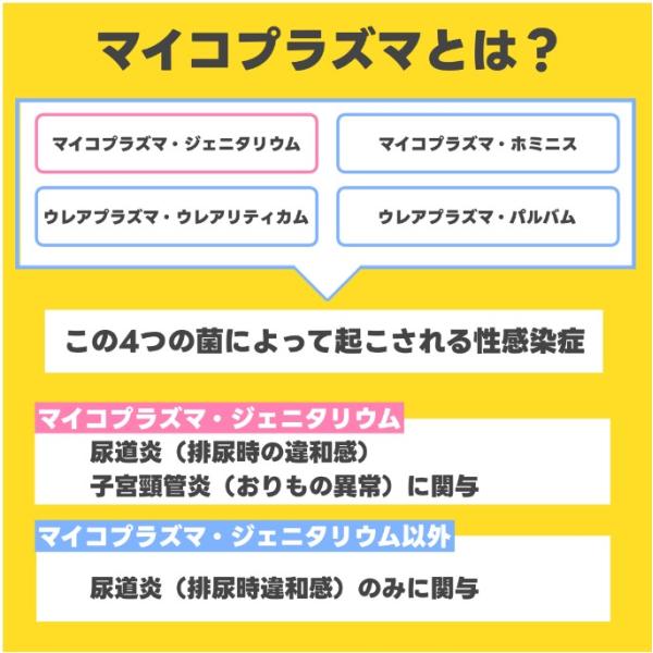 �}�C�R�v���Y�}4��i�����p�j�@�X�����a�����L�b�g ���i�摜2