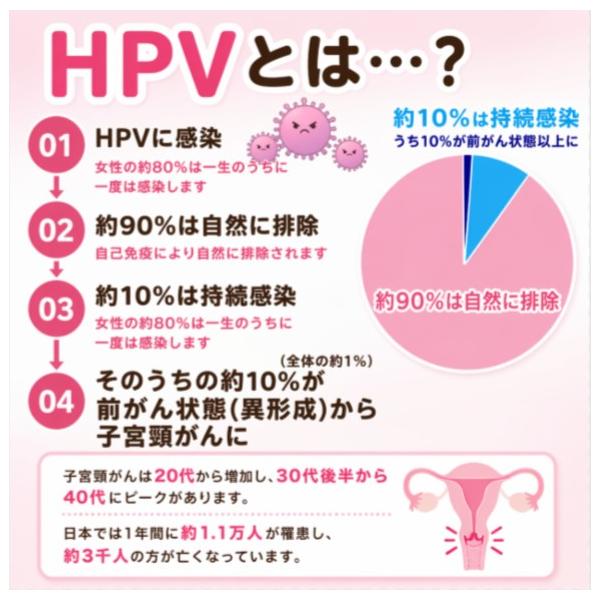 �q�g�E�p�s���[�}�E�E�C���X�i�q�{����w�W�j�i�����j�X�����a�����L�b�g ���i�摜2