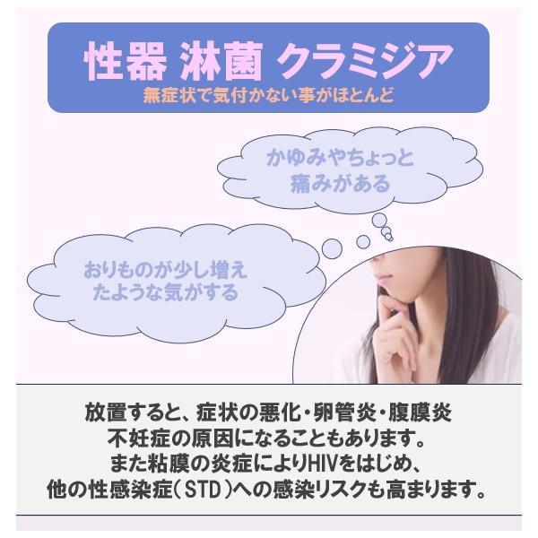 �����Z�b�gC 3���ځF����N���~�W�A/����ҋۊ�����/����J���W�_�ǁ@�X���X�����a�����L�b�g ���i�摜2