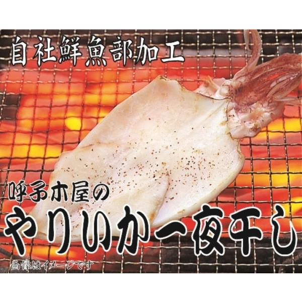 やりいかの一夜干し２枚（160g）　呼子　木屋　朝市　干物　佐賀
