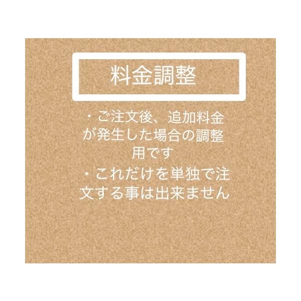 料金調整　100円