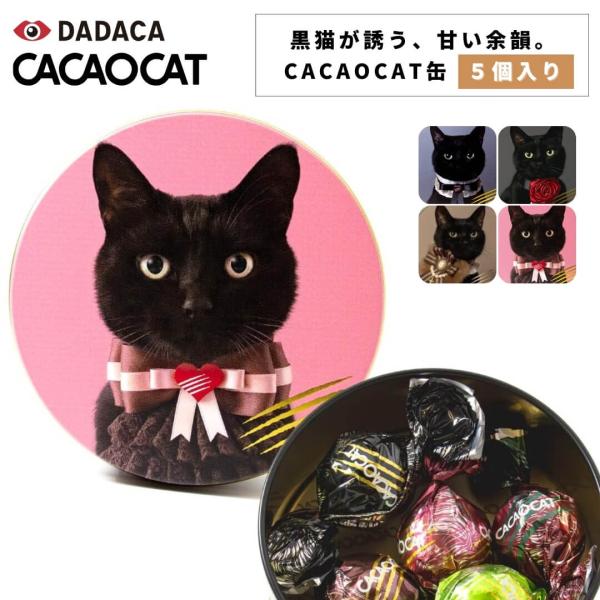 cacaocat チョコレート カカオキャット 缶 ミックス5個入り 缶